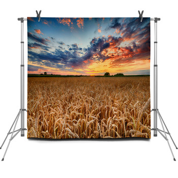 Country Photo Backdrops Available In Ultra Large Custom Sizes