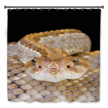 Aruba Rattlensnake / Crotalus Durissus Unicolor Bath Decor 53448757