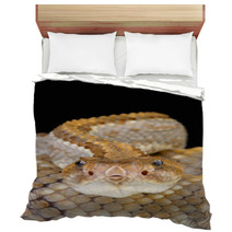 Aruba Rattlensnake / Crotalus Durissus Unicolor Bedding 53448757