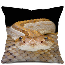 Aruba Rattlensnake / Crotalus Durissus Unicolor Pillows 53448757