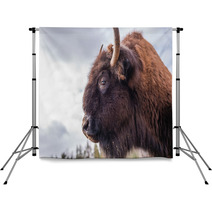 Bison Backdrops 63868210