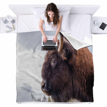 Bison Blankets 63868210