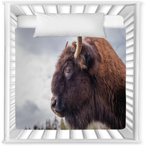 Bison Nursery Decor 63868210