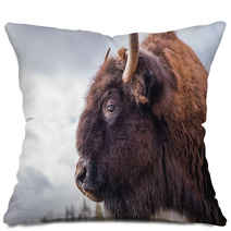 Bison Pillows 63868210