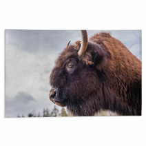 Bison Rugs 63868210