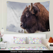 Bison Wall Art 63868210