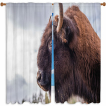 Bison Window Curtains 63868210