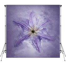 Clematis Purple Backdrops 161862511