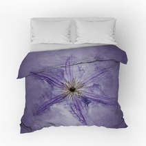 Clematis Purple Bedding 161862511