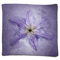 Clematis Purple Blankets 161862511