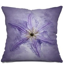 Clematis Purple Pillows 161862511