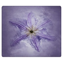 Clematis Purple Rugs 161862511