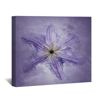 Clematis Purple Wall Art 161862511