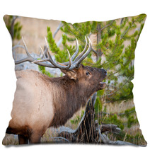 Roosevelt Elk With Big Antlers, Yellowstone NP Pillows 59234488