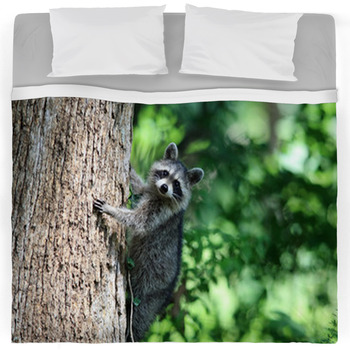 Raccoon Comforters, Duvets, Sheets & Sets | Personalized