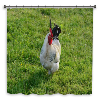 A White Sussex Cockerel In A Custom Size Shower Curtain