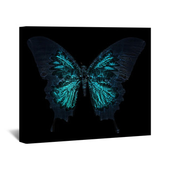 Butterfly Wall Decor in Canvas, Murals, Tapestries, Posters & More