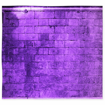 Purple Area Rugs & Floor Mats