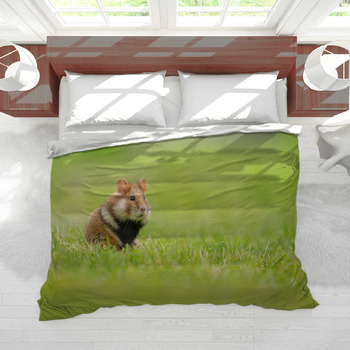 Black hamster outlet bedding