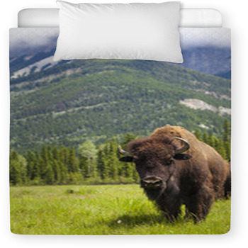 Bison crib bedding hot sale