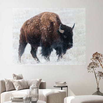 Buffalo Wall Decor | Murals | Tapestry | Posters | Custom Sizes