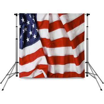 Patriotic Eagle Flag Backdrop American Flag Veterans Day Background Studio  Props