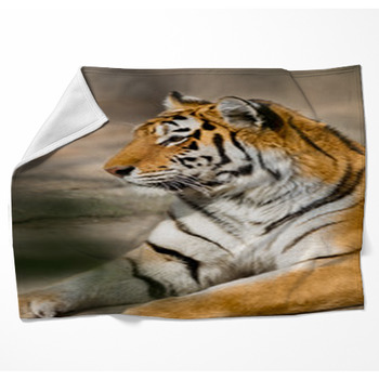 tiger plush blanket