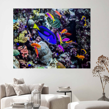 Underwater Wall Decor | Murals | Tapestry | Posters | Custom Sizes