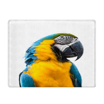 Parrot Shower Curtains, Bath Mats, & Towels Personalize