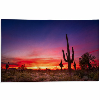 Cactus Rugs & Custom Size Floor Mats