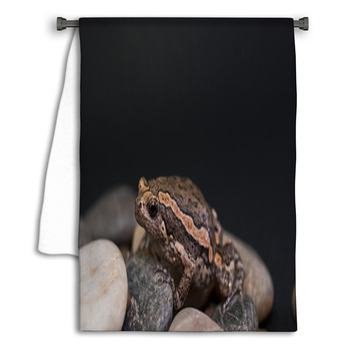 Asian Painted Frog Kaloula Pulchra Towel