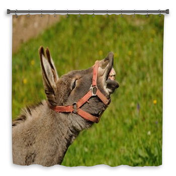 Personalized Eeyore Donkey Winnie The Pooh White Pinstripe