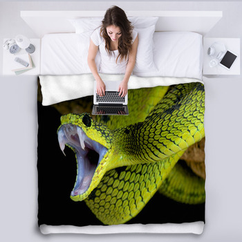 Snake on outlet blanket