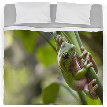 Frog Comforters, Duvets, Sheets & Sets | Custom