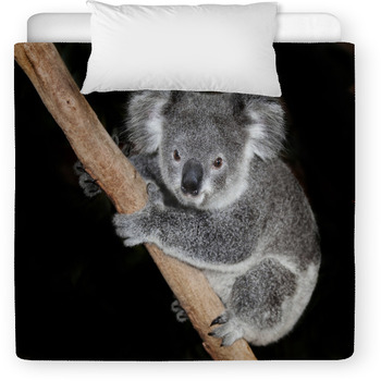 koala baby comforter