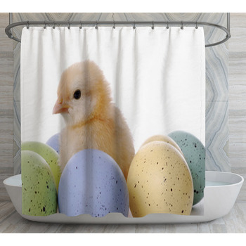 Baby Chick With Easter Eggs Shower Curtain