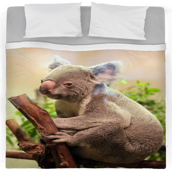 Koala Bedding | Comforters, Duvet Covers, Sheets & Bed Sets | Personalized