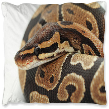 Snake Comforters, Duvets, Sheets & Sets | Custom