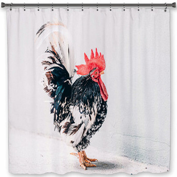 Bantam Pattern Of Rhythmic Custom Size Shower Curtain