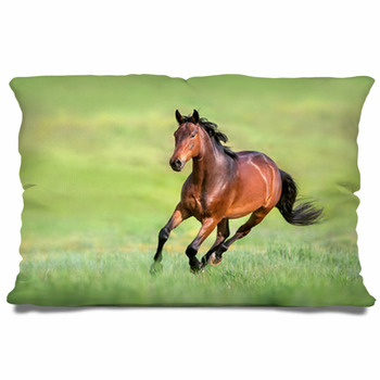 Bay Horse In Motion On On Green Grass Pillow Case/Sham