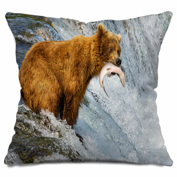 Bear Throw Pillows, Cases