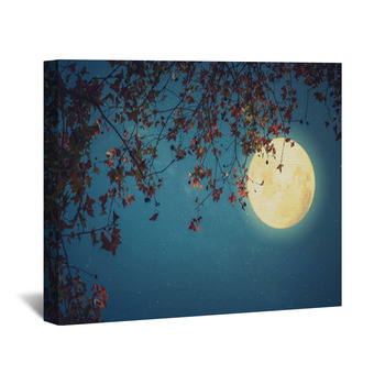 https://www.visionbedding.com/images/theme/beautiful-autumn-fantasy-maple-tree-in-fall-season-and-full-moon-with-star-retro-style-with-vintage-color-tone-halloween-and-thanksgiving-in-night-skies-background-concept-canvas-wrap-289776613.jpg