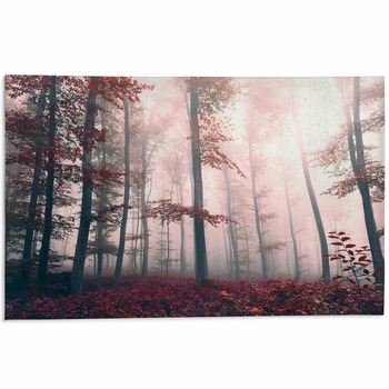 https://www.visionbedding.com/images/theme/beautiful-red-colored-foggy-forest-landscape-area-rug-83271756.jpg