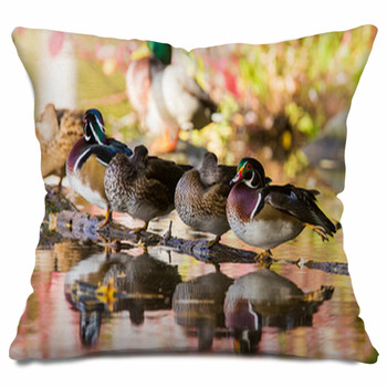 https://www.visionbedding.com/images/theme/beautiful-wood-duck-in-autumn-outdoor-throw-pillow-249756071.jpg