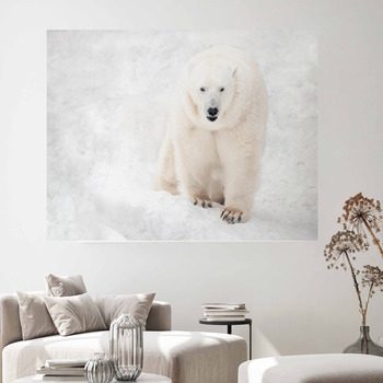 Polar bear Wall Decor in Canvas, Murals, Tapestries, Posters & More