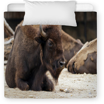 Bison discount crib bedding