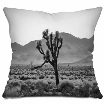 Black and clearance white cactus pillow