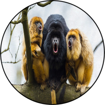 Black monkey – animals area rug carpet