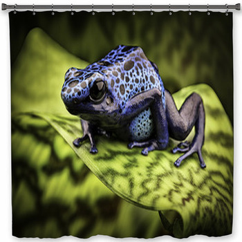 Blue Poison Dart Frog Amazon Custom Size Shower Curtain