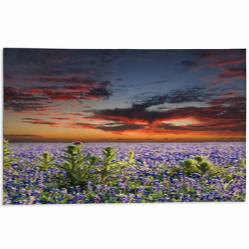 Texas Area Rugs & Custom Size Floor Mats